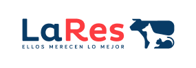 logo-02